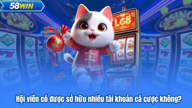 Hội viên có được sở hữu nhiều tài khoản cá cược không?